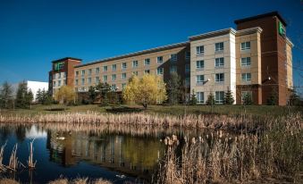 Holiday Inn Express & Suites Spruce Grove - Stony Plain