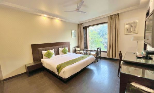 5. 트리보 앰버..