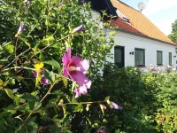 B & B Hygge Hotele w: Tranekaer