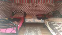 Bedouin Habits Tours Camp