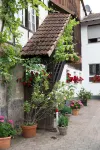 Gasthof Zur Rose Hotels near Hirschkopfturm