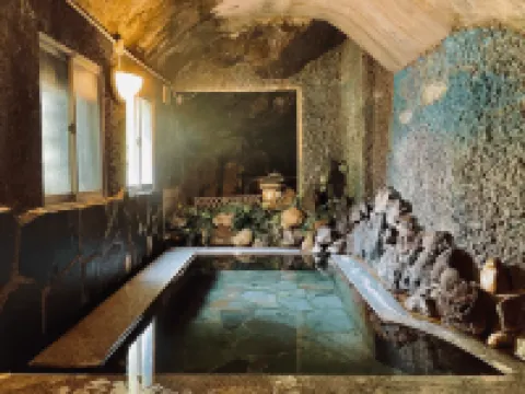 逆巻温泉 川津屋 津南町のホテル