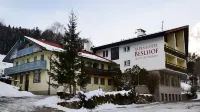 貝斯霍夫阿爾卑斯山酒店 - 家庭旅館