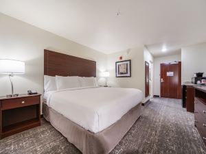 Cobblestone Inn & Suites-Fremont