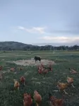 Jiangbulak Shuyi Farmhouse