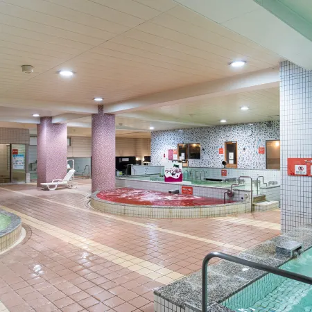 Spa Land Hotel Naito