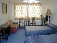Cliff House Yanagida Ryokan - pet friendly