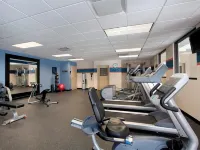 Hampton Inn & Suites Salida - Gym