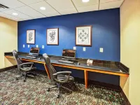 Spark by Hilton Plainfield Indianapolis Airport - Pet friendly