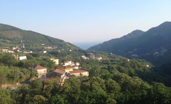 A Refuge Between Green and Blue