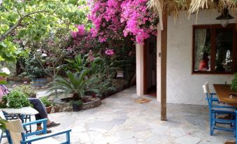 Excusive 1 Bedroom Cottage in Paleochora