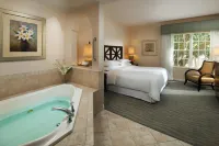 Sheraton Vistana Resort Villas, Lake Buena Vista/Orlando - Hot Springs