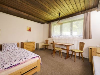 Harrachov Pool & Garden