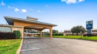 Best Western Catalina Inn Hotels in 