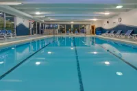 Four Points by Sheraton Point Edward Sarnia - Pool