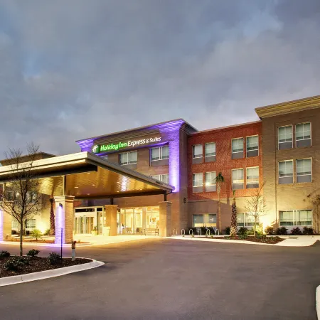 Holiday Inn Express & Suites CHARLESTON NE MT PLEASANT US17 by IHG