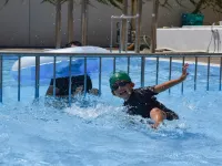 Hamanomiyabitei Ichii - Pools