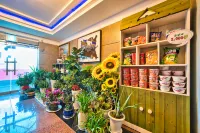 Wonju Olive Các khách sạn gần Sân bay Wonju