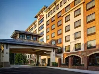 Hilton Garden Inn Raleigh-Durham/Research Triangle Park فنادق في Triangle