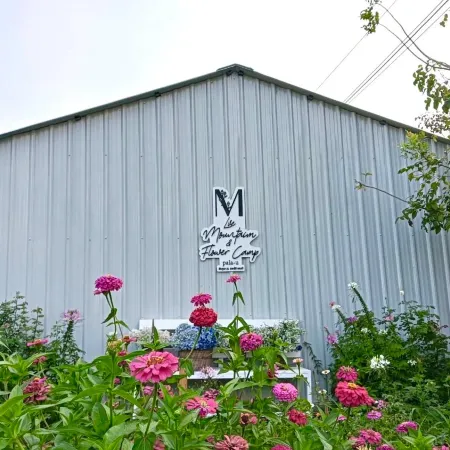 Luv Mountain & Flower Camp Pala-U