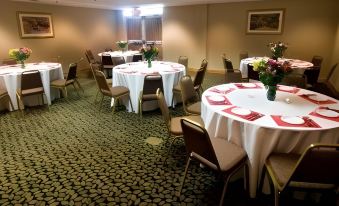 Country Inn & Suites by Radisson, Dundee, MI