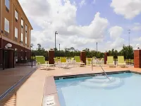 Holiday Inn Express & Suites FOLEY - N GULF SHORES by IHG - piscine