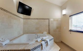 Best Western Plus Arlington North Hotel Suites