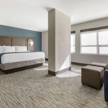 Comfort Inn & Suites Downtown Brickell-Port of Miami Hotels near Miami Seaquarium
