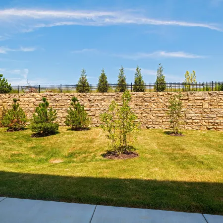 Courtyard St. Louis Brentwood Отели рядом с достопримечательностью «Лесопарк»