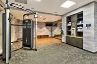 Fairfield Inn & Suites Knoxville Airport Alcoa - Gym