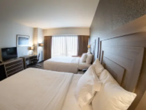 萊昂希爾頓花園酒店 萊昂酒店