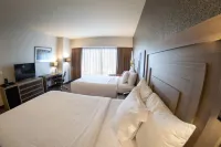 Hilton Garden Inn Leon Отели в г. 
