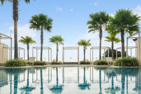 Cane by Kozystay - Ciumbuleuit