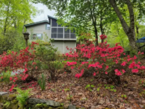 Mountain Getaway near Brevard and Cashiers, 4BR 3 Bath Hotels in Transylvania County