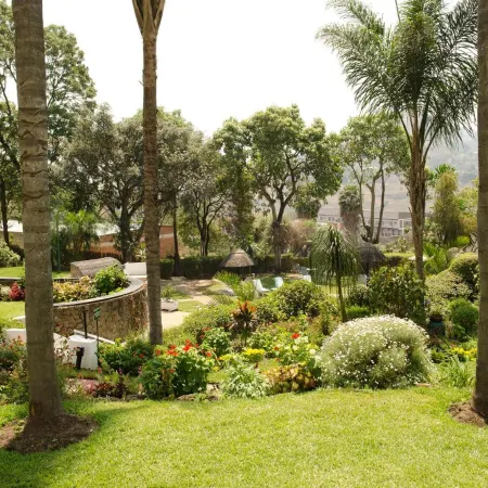 Sunbird Mount Soche