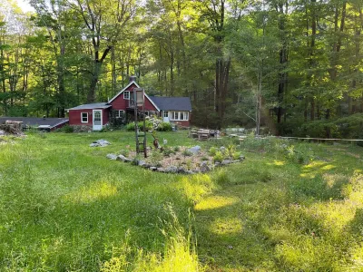 Peaceful Forest Cabin