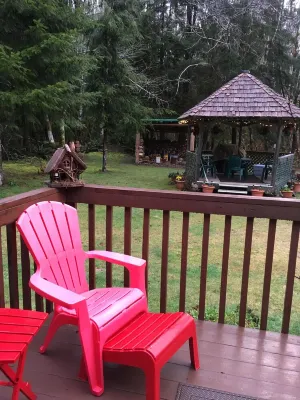 Private,Quiet,cabin,on 27 acres,w/ trails. near the Hoh Rain Forest Nat' l Park.