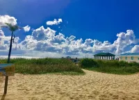 CASA COCONUT! Walk to the BEACH & Lauderdale-By-The-Sea! Resort Style Home!