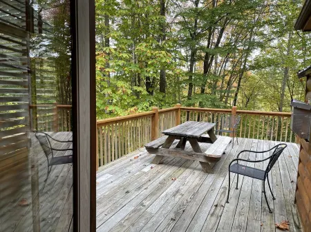 Spacious cabin surrounded by nature… w/ Pool table, Firepit....