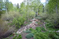 Stunning & Modern Family-Friendly Slopeside Retreat in the Heart of Snowmass!