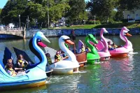 Ocean View, Pathway Situated, Large Wrap Around Porch, Private Parking!