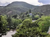 Turn-of-the-Century Gem! The Painted Lady.