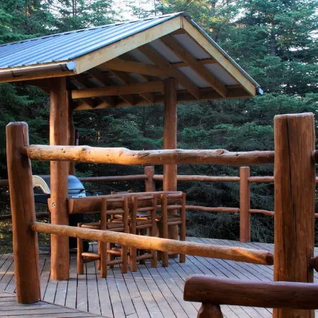 Unique Alaskan Log Home in Trees & Wild Flowers on 14-Acre Private Homestead.