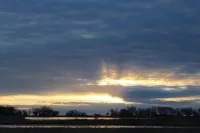 Crane and Nature Lovers Dream - Perfect for Crane Viewing!