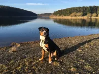 Vacation home Seeblick Sauna use at the Zeulenrodaer Meer, enjoy nature and tranquility