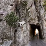 ⁂Pet Friendly⁑Game Room⁑Air Hockey⁑Foosball⁑Darts⁂