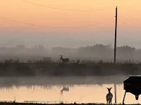 High fence game ranch with meal packages available with a up charge