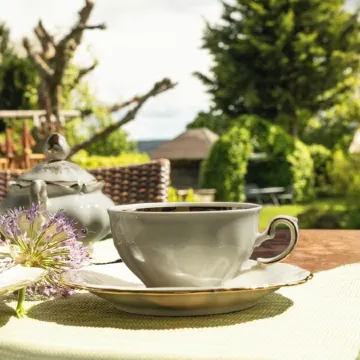 Holiday home Siebenstein near the Rursees and the beach Eschauel