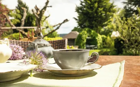 Holiday home Siebenstein near the Rursees and the beach Eschauel