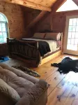 Stunning Riverfront Solar-Powered Cabin  (back-up generator)